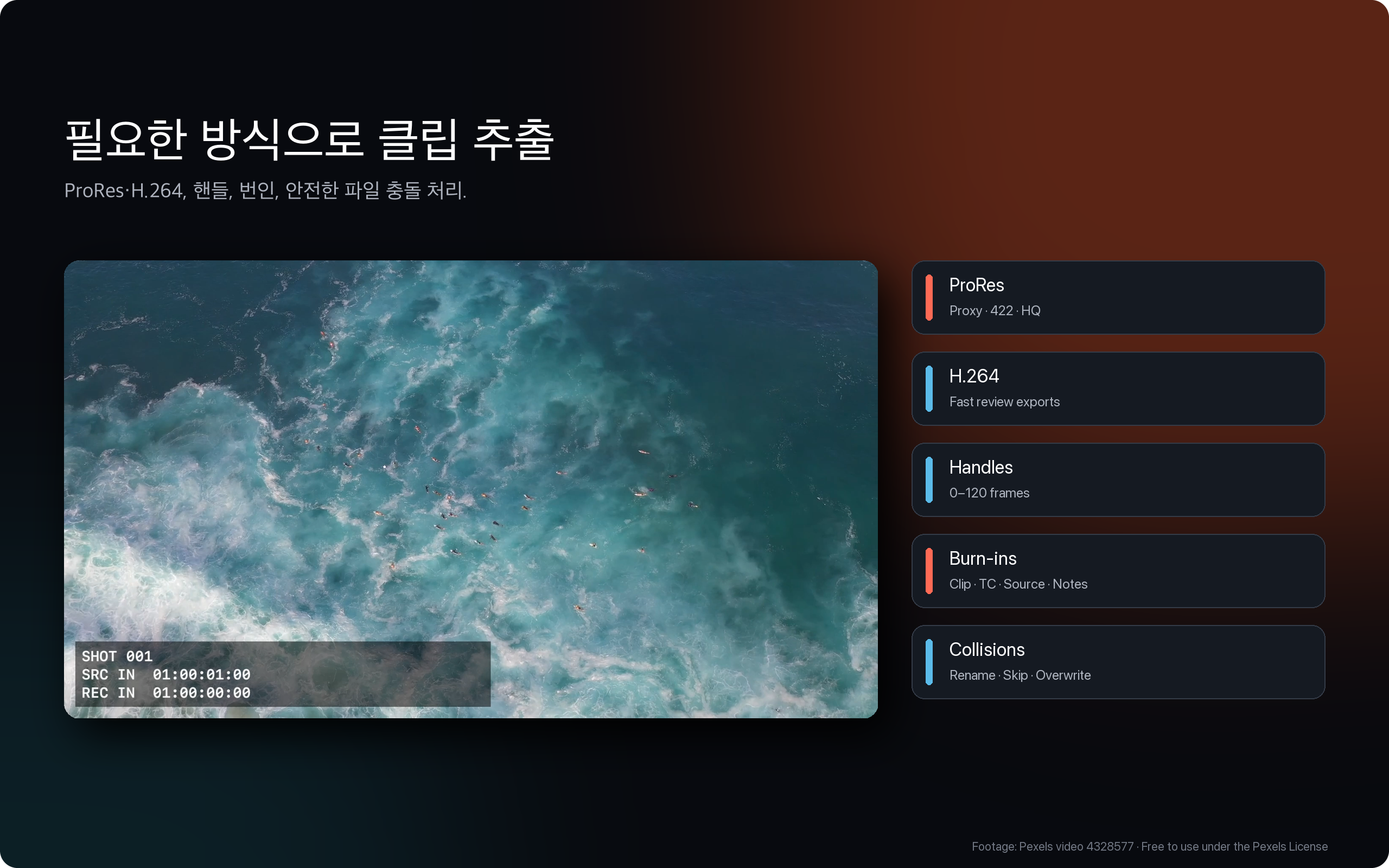 핸들, 코덱, 파일명 규칙을 설정하는 Cut Relay 출력 옵션
